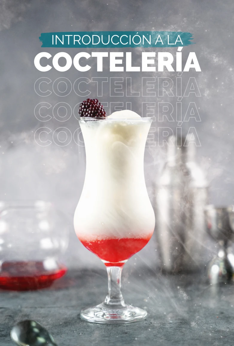 introducci_n_a_la_cocteler_a1