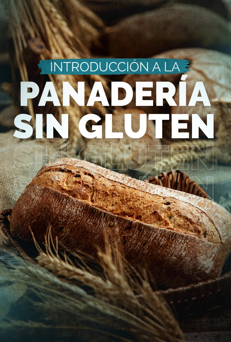 introducci_n_a_la_panader_a_sin_gluten1